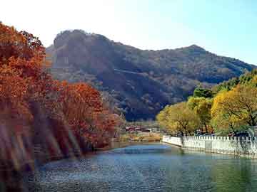 新澳天天开奖资料大全旅游团，缠绕管